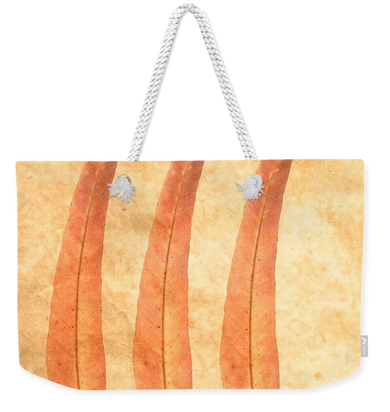 Orange Color Weekender Tote Bag featuring the digital art Willow Leaves by Don Bishop