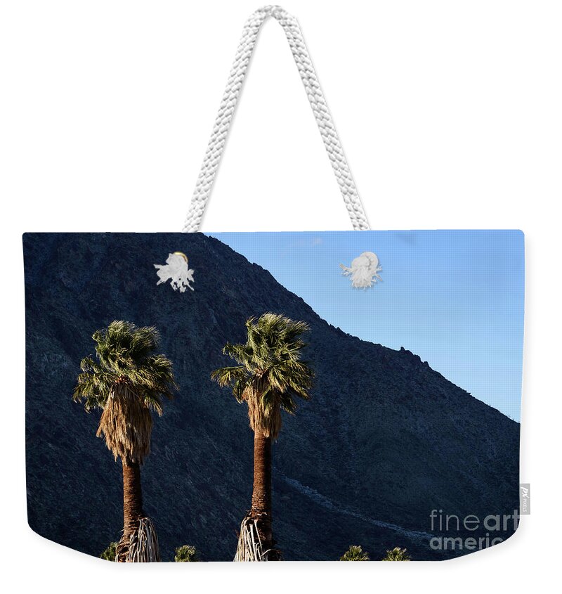 Desert Weekender Tote Bag featuring the photograph Wind in the Palms by Jeff Hubbard