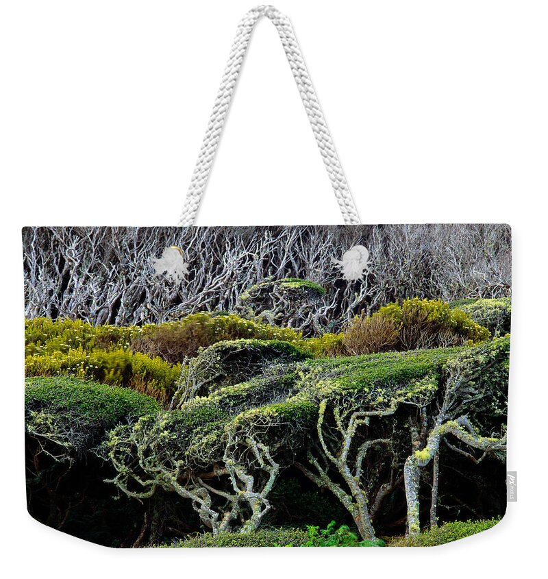 Scenics Weekender Tote Bag featuring the photograph Windswept Trees, Enderby Island by Art Wolfe