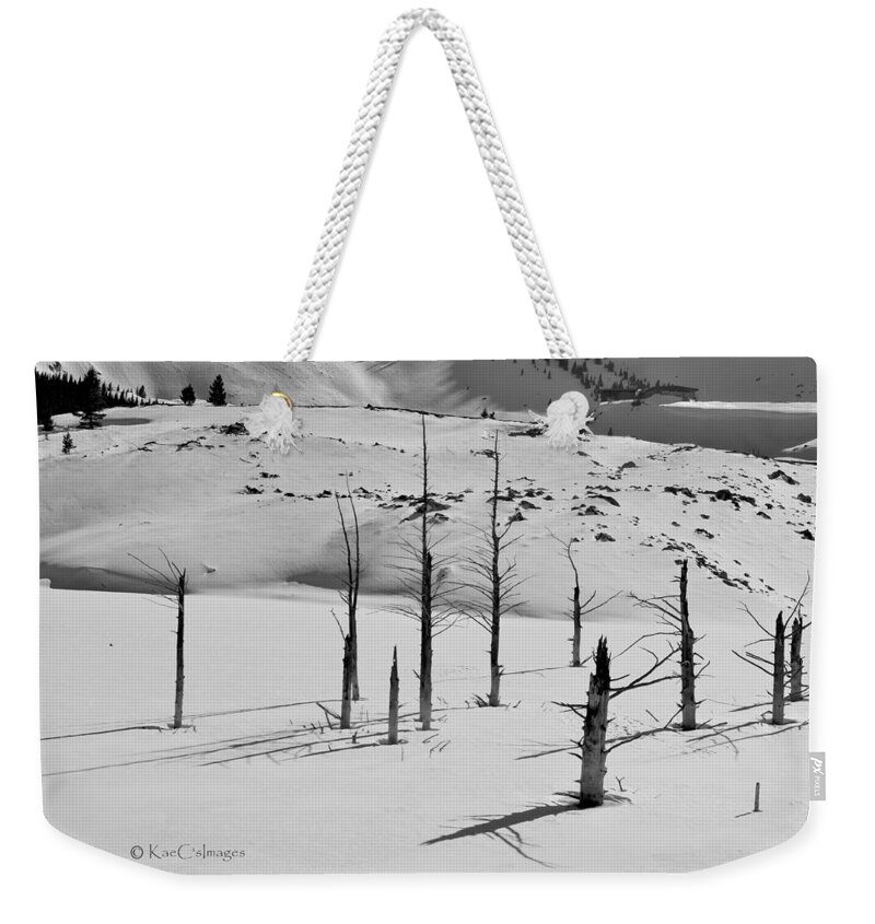 Black And White Weekender Tote Bag featuring the photograph Winter at Quake Lake by Kae Cheatham
