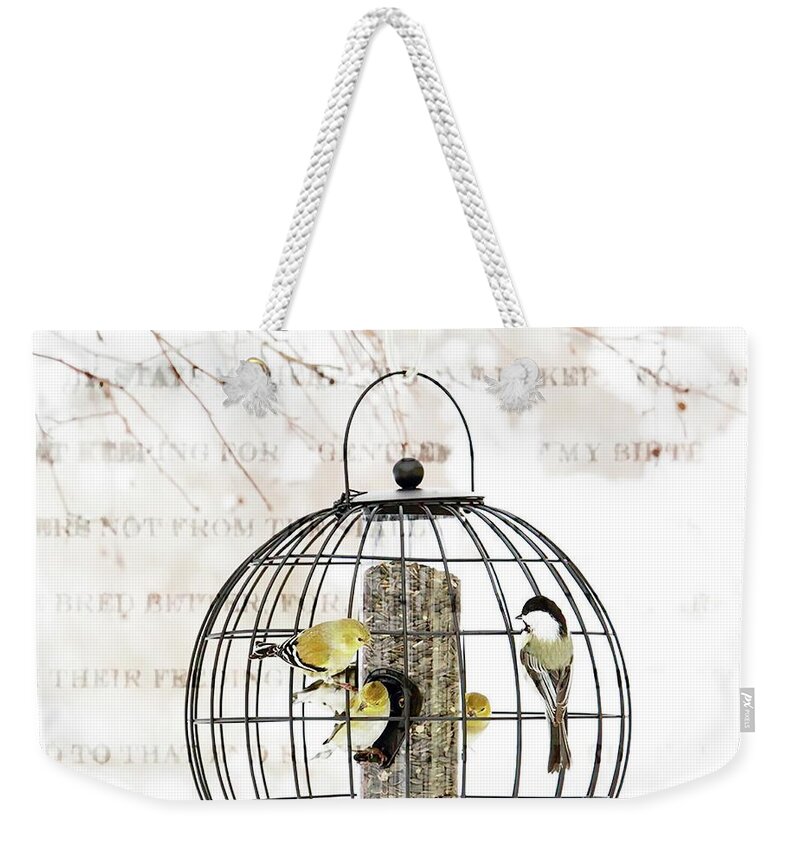 Bird Weekender Tote Bag featuring the photograph Winter Bird Feeder by Andrea Kollo