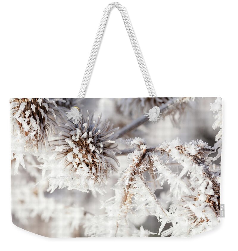 Freezing Weekender Tote Bag featuring the photograph Winter frost on a garden thistle close up by Simon Bratt