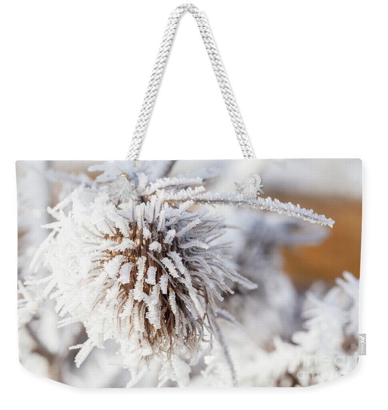 Freezing Weekender Tote Bag featuring the photograph Winter frost on a garden thistle by Simon Bratt