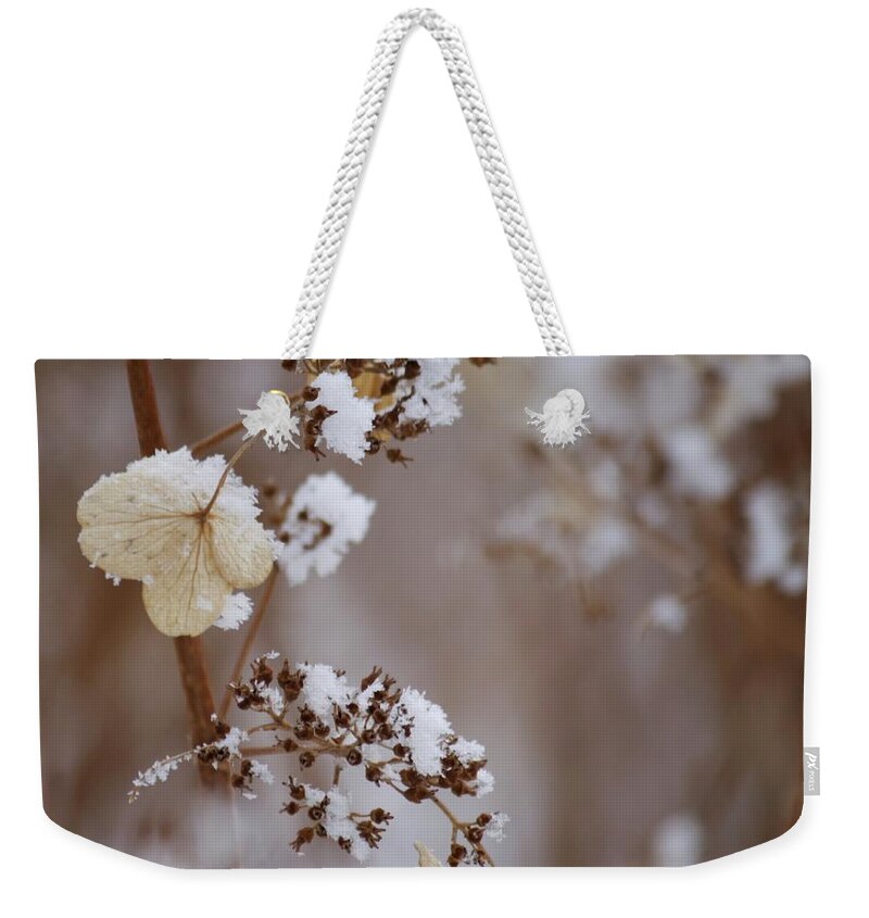 Old Quebec Weekender Tote Bag featuring the photograph Winter Garden by Marie-josée Lévesque