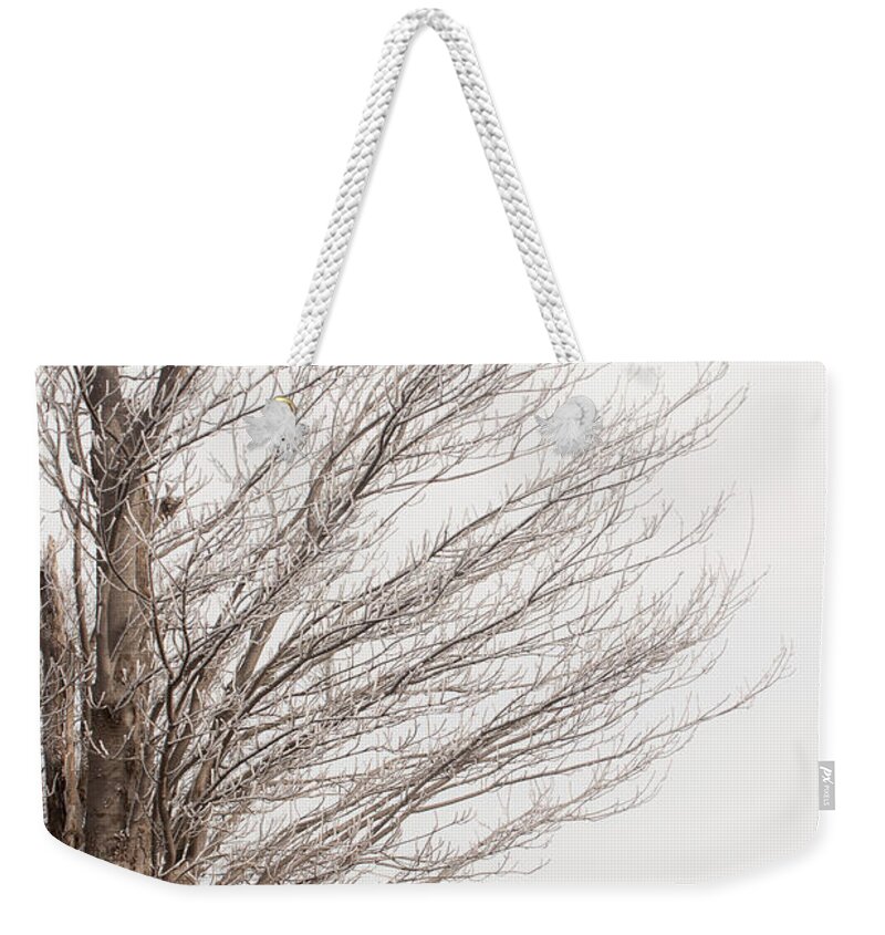 Blue Ridge Weekender Tote Bag featuring the photograph Winter Hoarfrost by Mark Duehmig
