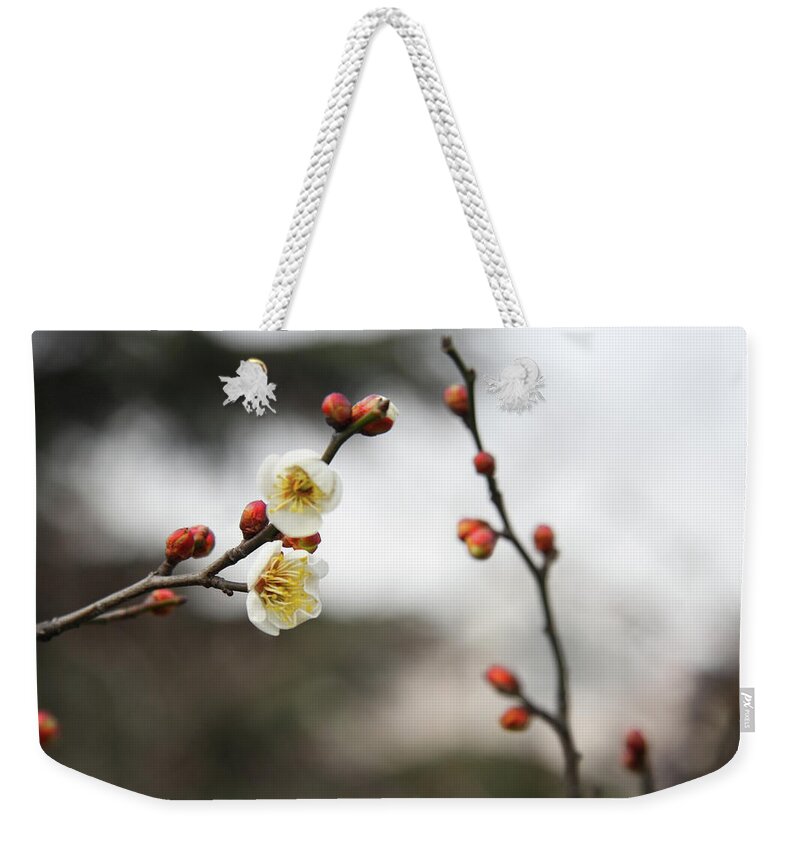 Chinese Culture Weekender Tote Bag featuring the photograph Winter Plum Blossom In Shanghai by Bingopixel