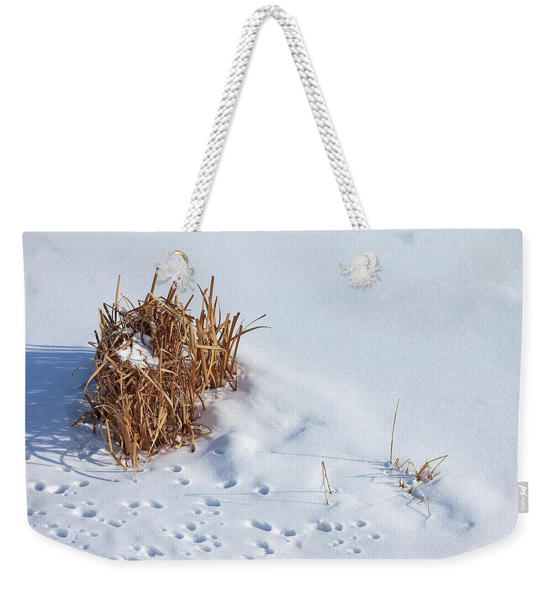 Reeds Weekender Tote Bag featuring the photograph Winter Reeds by Todd Klassy