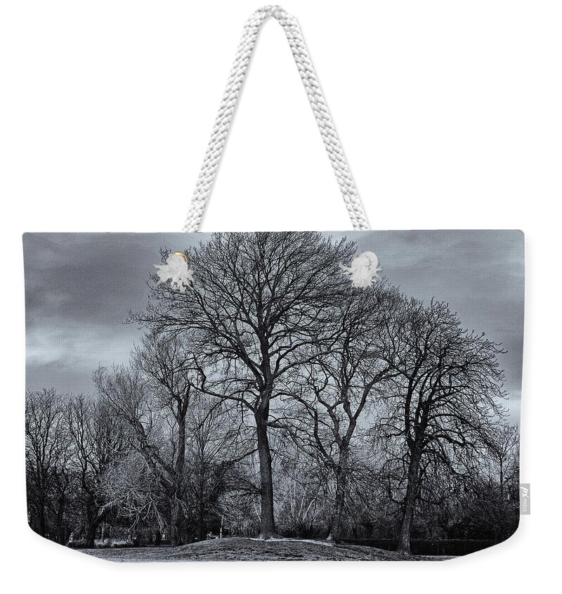 Winter Trees Weekender Tote Bag featuring the photograph Winter Trees Monochrome by Jeff Townsend