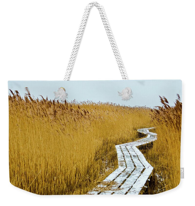 Grass Weekender Tote Bag featuring the photograph Winter Zzz by Cristina Corduneanu