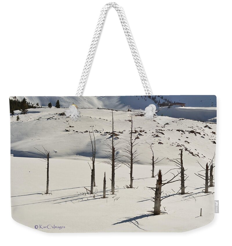 Quake Lake Weekender Tote Bag featuring the photograph Wintertime at Quake Lake by Kae Cheatham