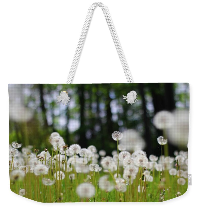 Photography Weekender Tote Bag featuring the photograph Wishes and Dreams by Tracy Male