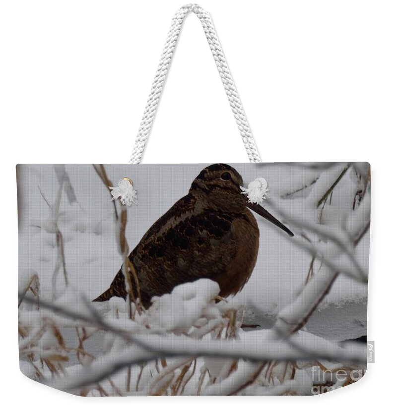 Woodcock Weekender Tote Bag featuring the photograph Wishing I Was Down On The Bayou by Randy Bodkins