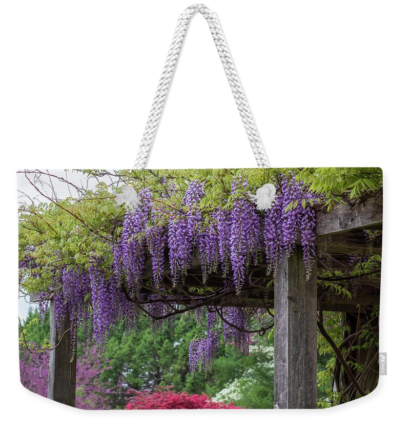 Wisteria Weekender Tote Bag featuring the photograph Wisteria graces the Japanese garden by Jack Clutter