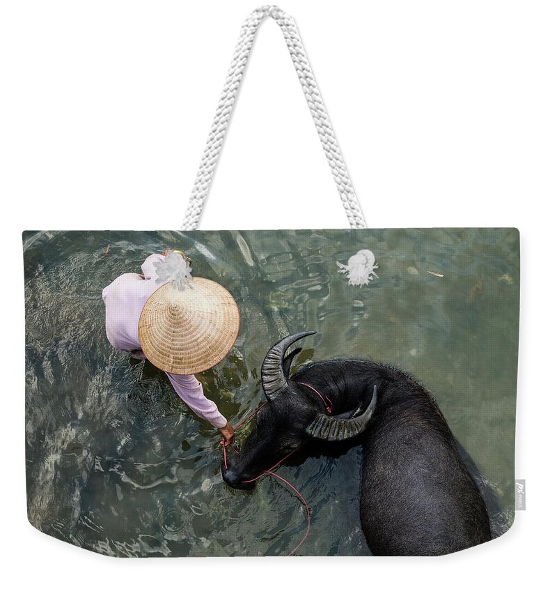Mature Adult Weekender Tote Bag featuring the photograph Woman With Water Buffalo In Small River by Martin Puddy