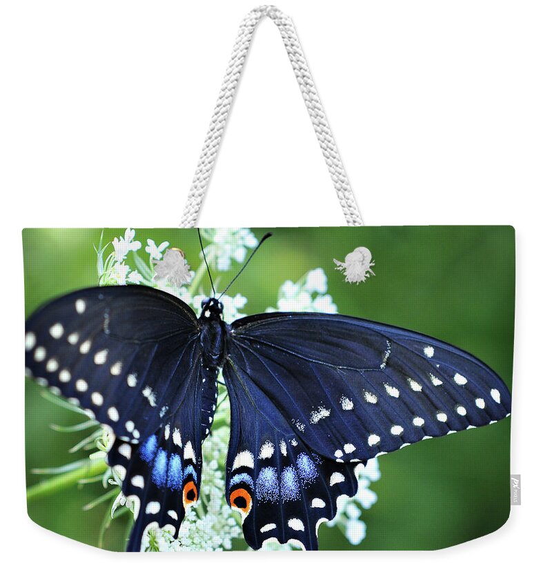 Swallowtail Butterfly Photography Weekender Tote Bag featuring the photograph Wonder by Michelle Wermuth