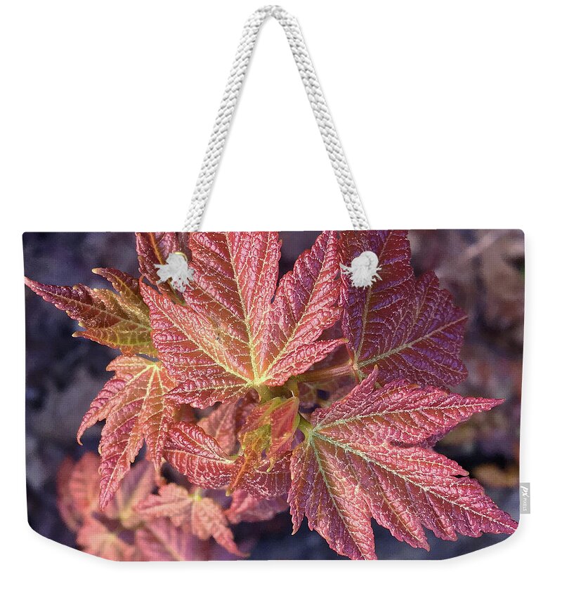 Photography Weekender Tote Bag featuring the photograph Woodland 136 by Amy E Fraser