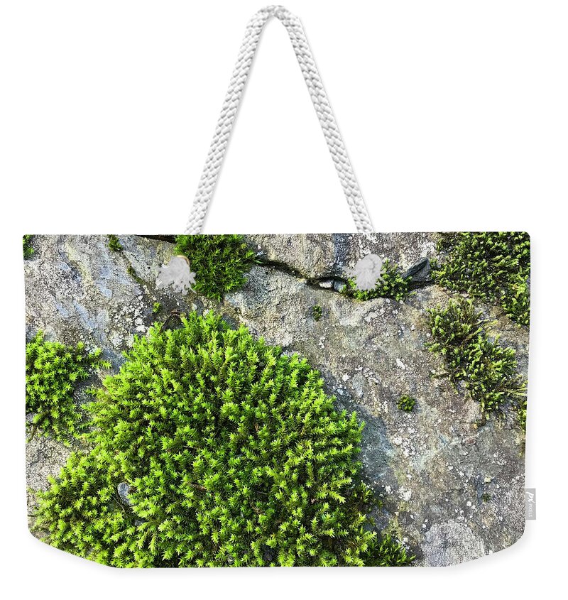 Photography Weekender Tote Bag featuring the photograph Woodland 40 by Amy E Fraser