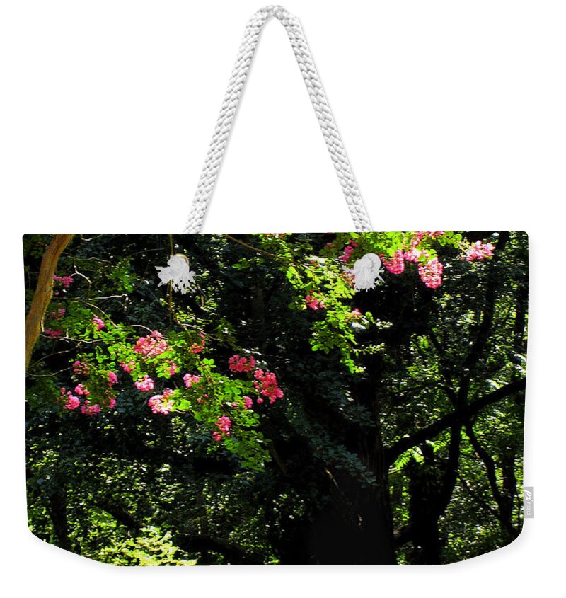 Summer Weekender Tote Bag featuring the photograph Woodland Serenity No.2 by Steve Ember