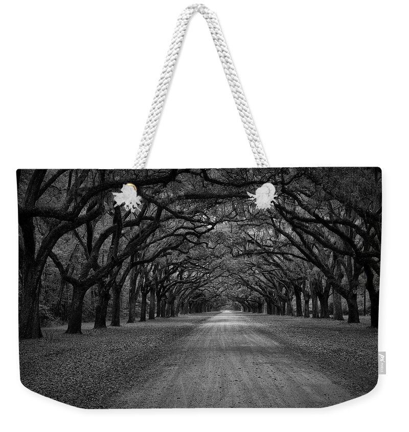Forest Weekender Tote Bag featuring the photograph Wormsloe Plantation Trees by Jon Glaser