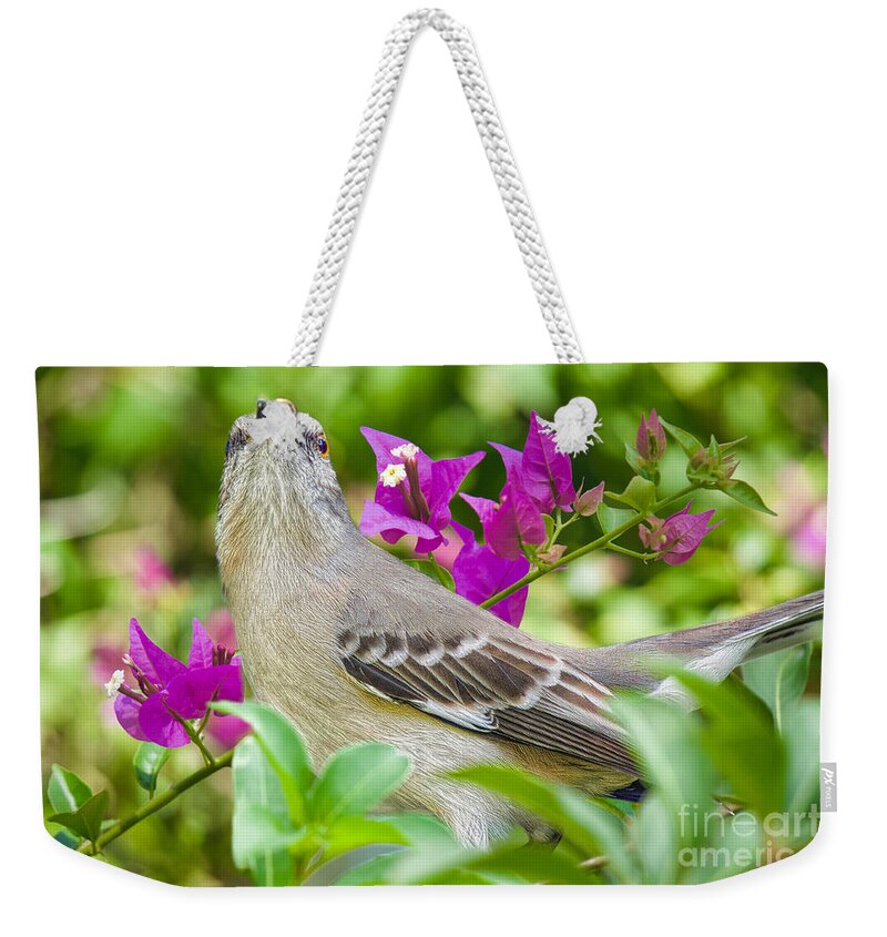 Birds Weekender Tote Bag featuring the photograph Mockingbird and Flowers by Judy Kay