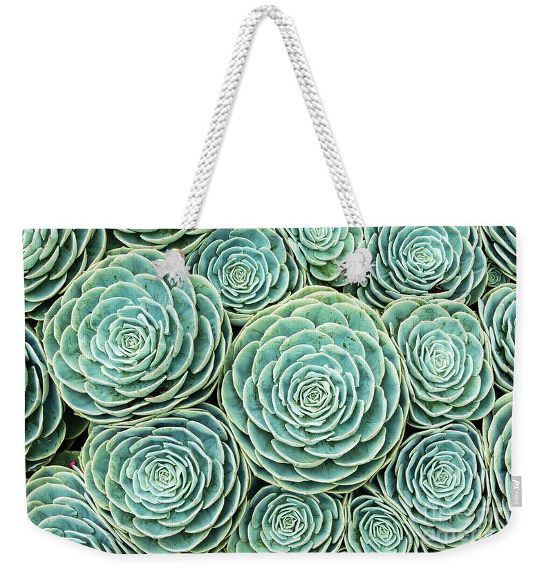 Houseleek Weekender Tote Bag featuring the photograph Xxxl Natural Pattern Of Hens And Chicks by Ogphoto