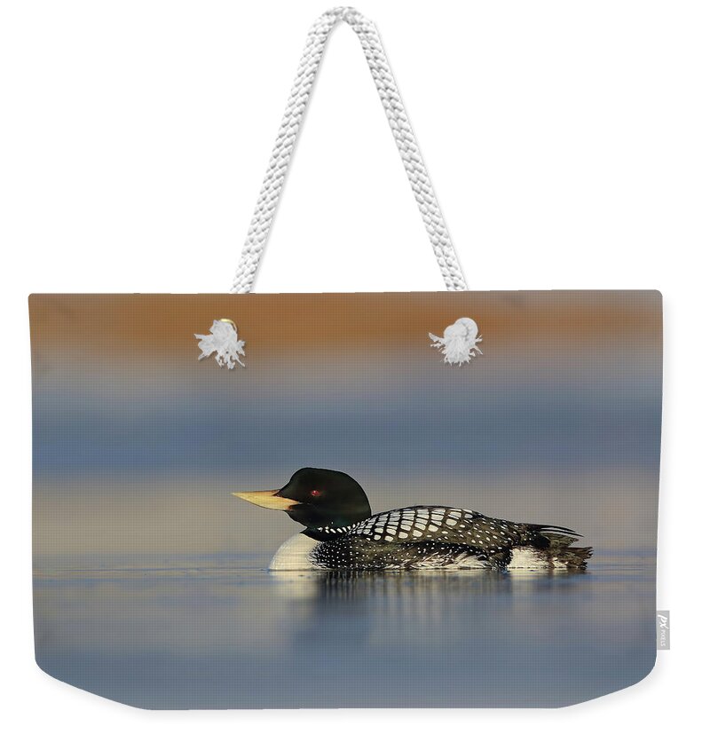 Yellow Billed Loon Weekender Tote Bag featuring the photograph Yello Billed Loon by Daniel Behm