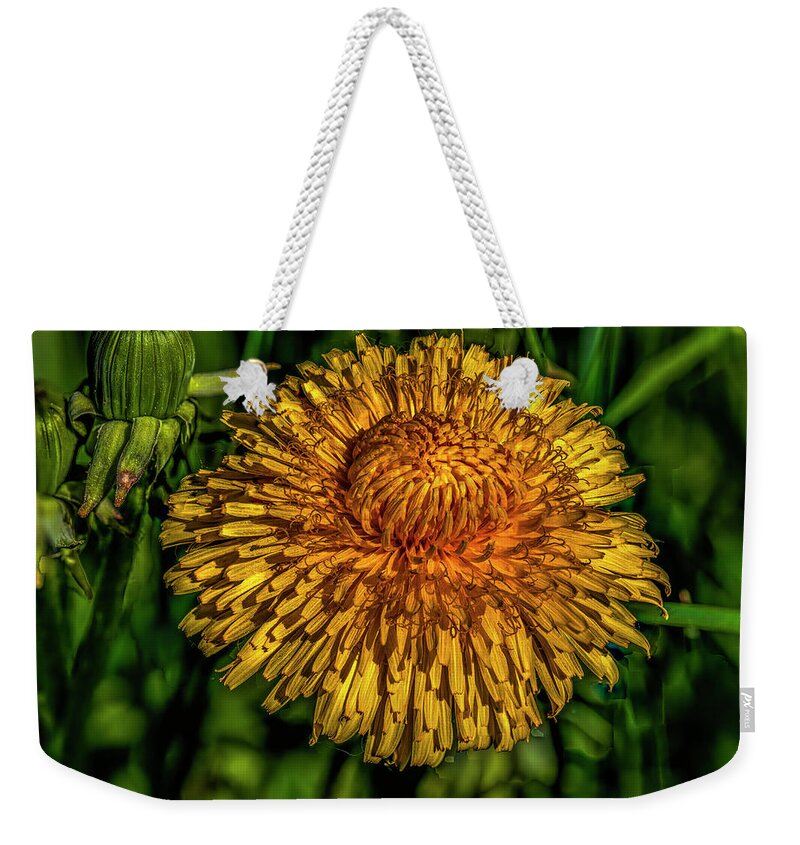 Dandelions Weekender Tote Bag featuring the photograph Yellow and orange on dark green #i7 by Leif Sohlman