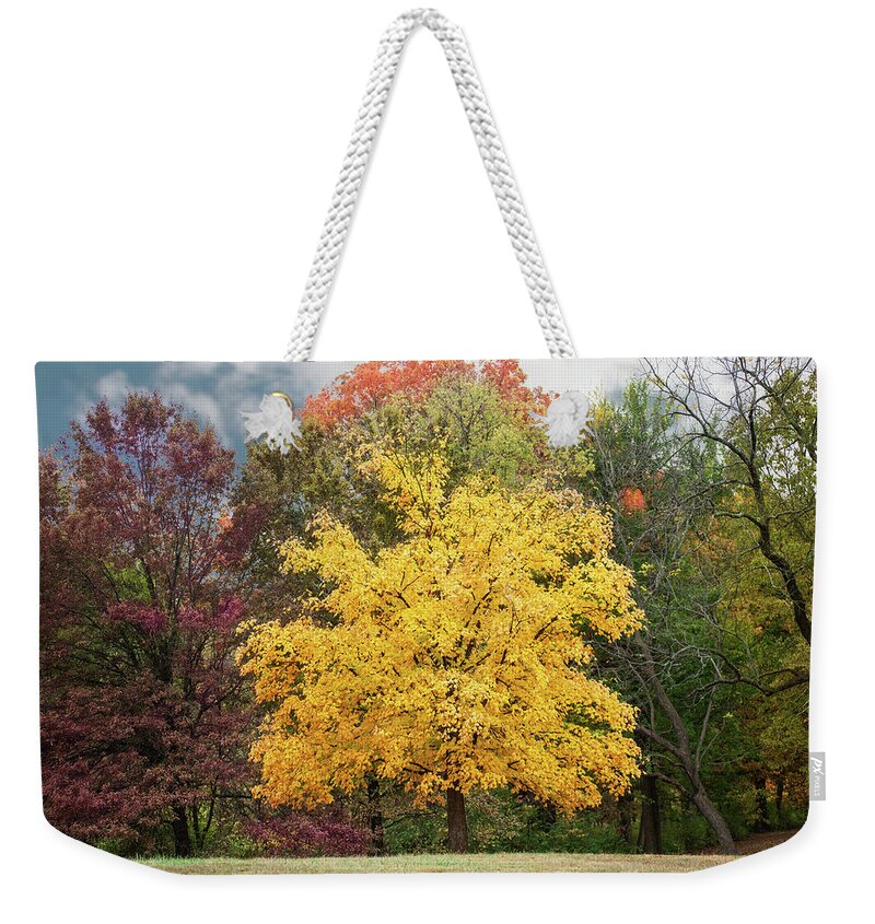 Yellow Leaves Weekender Tote Bag featuring the photograph Yellow Autumn by Ed Taylor