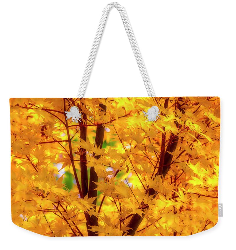 Yellow Weekender Tote Bag featuring the photograph Yellow Autumn Leaves by Garry Gay