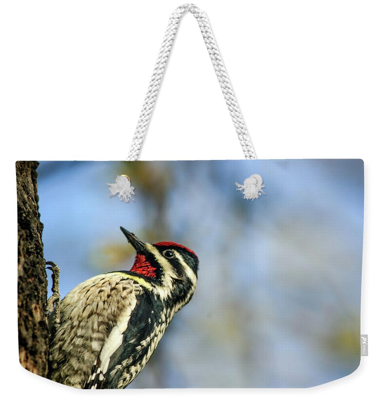 Animal Themes Weekender Tote Bag featuring the photograph Yellow Bellied Sapsucker by By Ken Ilio