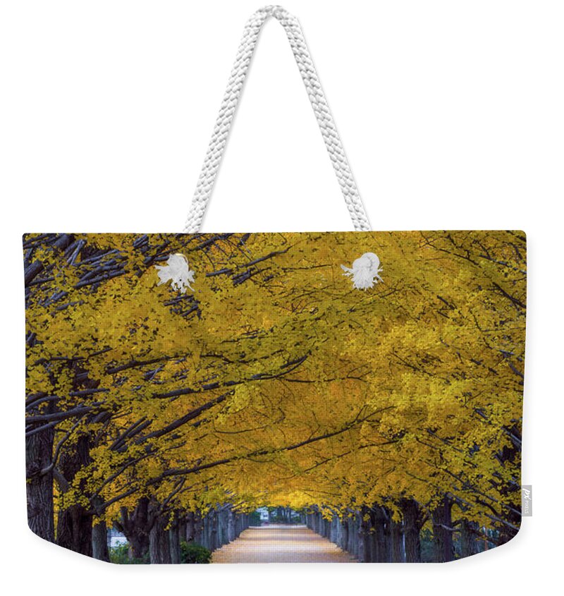 Tranquility Weekender Tote Bag featuring the photograph Yellow Ginko Trees At Tachikawa Tokyo by Dheej18