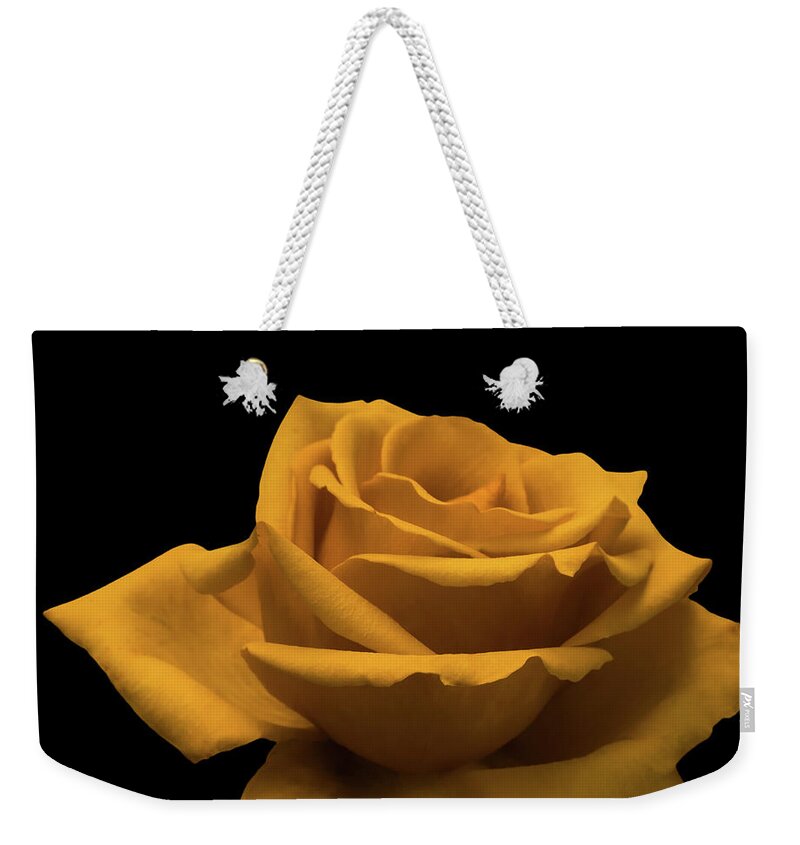 Yellow Rose Weekender Tote Bag featuring the photograph Yellow Rose on Black by Wim Lanclus