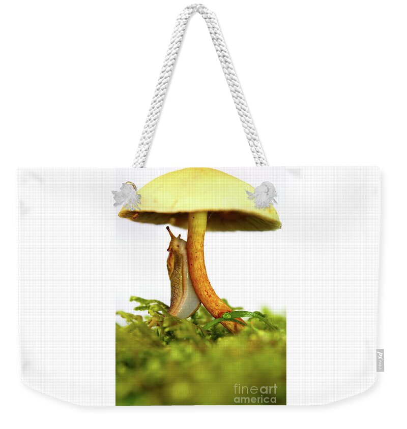 Mushroom Weekender Tote Bag featuring the photograph Yellow slug mushroom whimsical beauty by Robert C Paulson Jr