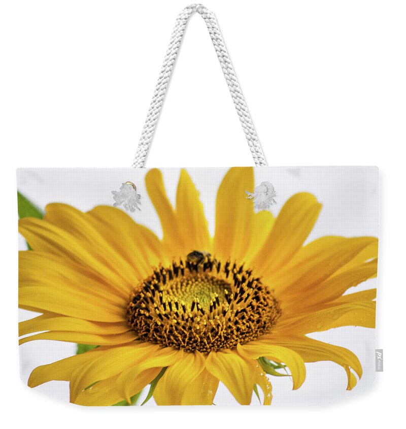 Ohio Weekender Tote Bag featuring the photograph Yellow by Stewart Helberg