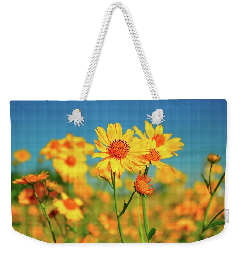 New Mexico Weekender Tote Bag featuring the photograph Yellow Wildflowers by Sandy L. Kirkner