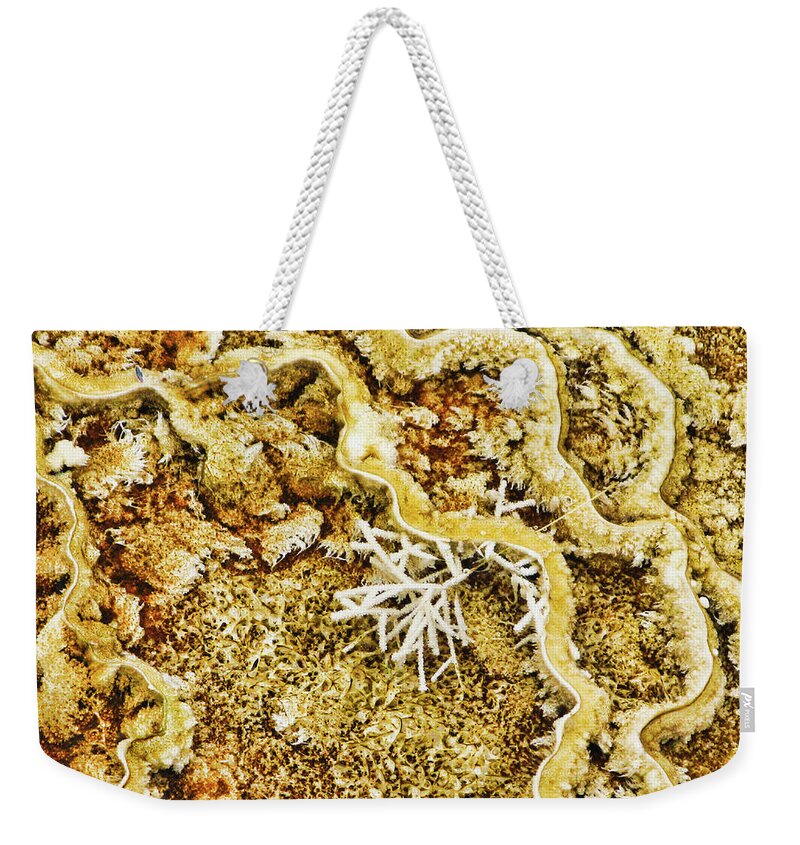 Abstract Weekender Tote Bag featuring the photograph Yellowstone 6 by Segura Shaw Photography