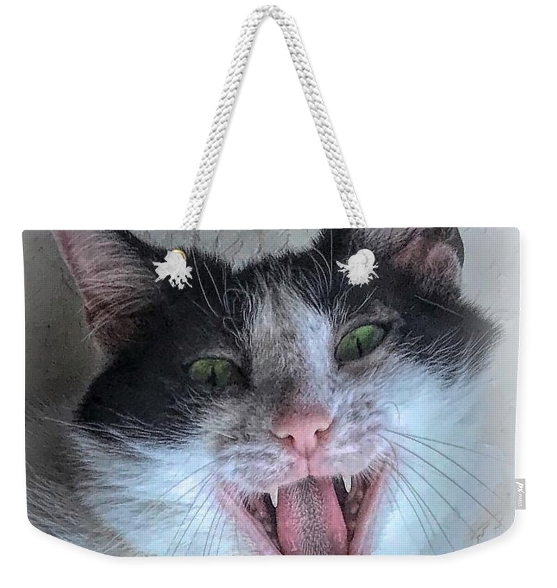 Weekender Tote Bag featuring the photograph Yes, I Had Catnip by Jack Wilson