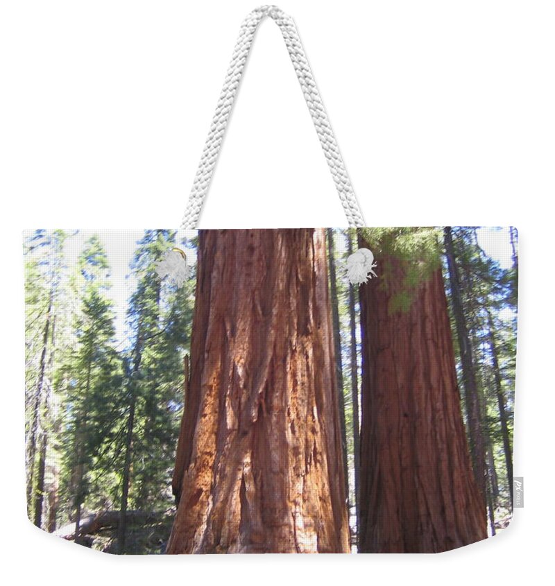 Yosemite Weekender Tote Bag featuring the photograph Yosemite National Park Mariposa Grove Twin Giant Ancient Trees by John Shiron