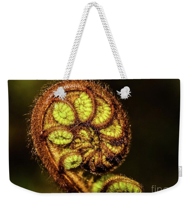 Fern Weekender Tote Bag featuring the photograph Young fern leaves by Lyl Dil Creations