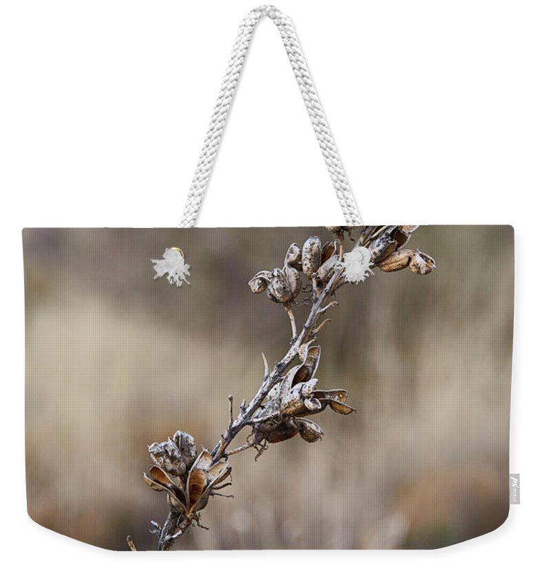 Yucca Weekender Tote Bag featuring the photograph Yucca Seed Pods by Robert WK Clark