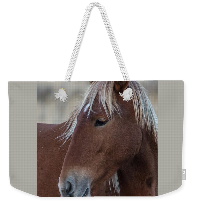 Honey Weekender Tote Bag featuring the photograph _z3a9543 by John T Humphrey
