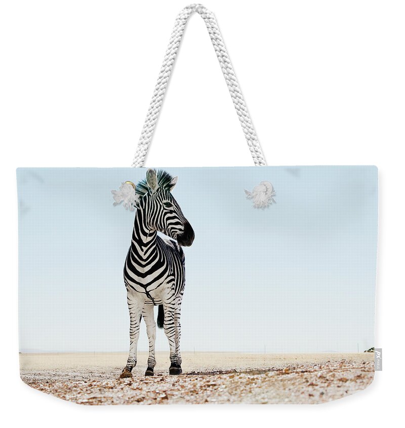 Plains Zebra Weekender Tote Bag featuring the photograph Zebra Equus Burchellii Standing In Open by Martin Barraud