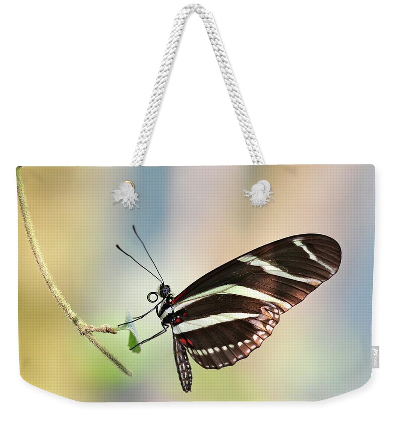Insect Weekender Tote Bag featuring the photograph Zebra Longwing by Marcel Pinus