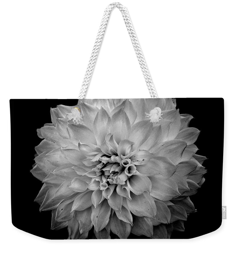 Flower Weekender Tote Bag featuring the digital art Zinnia in Black and White by Dianne Morgado