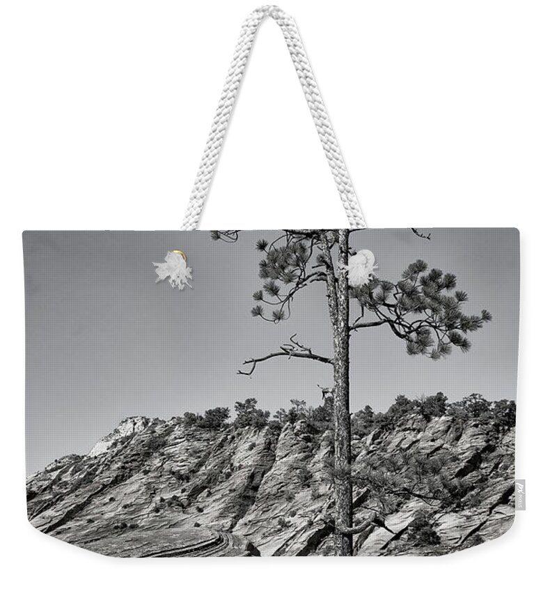 Utah Weekender Tote Bag featuring the photograph Zion Tree by Phil Cardamone