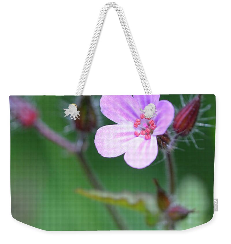 B.c. Weekender Tote Bag featuring the photograph , Cowichan Valley, Vancouver Island, British Columbia by Kevin Oke