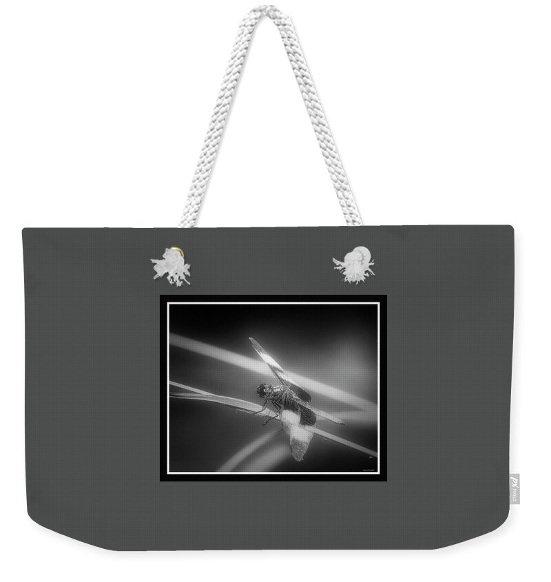 Dragonfly Weekender Tote Bag featuring the photograph 071609-158 by Mike Davis