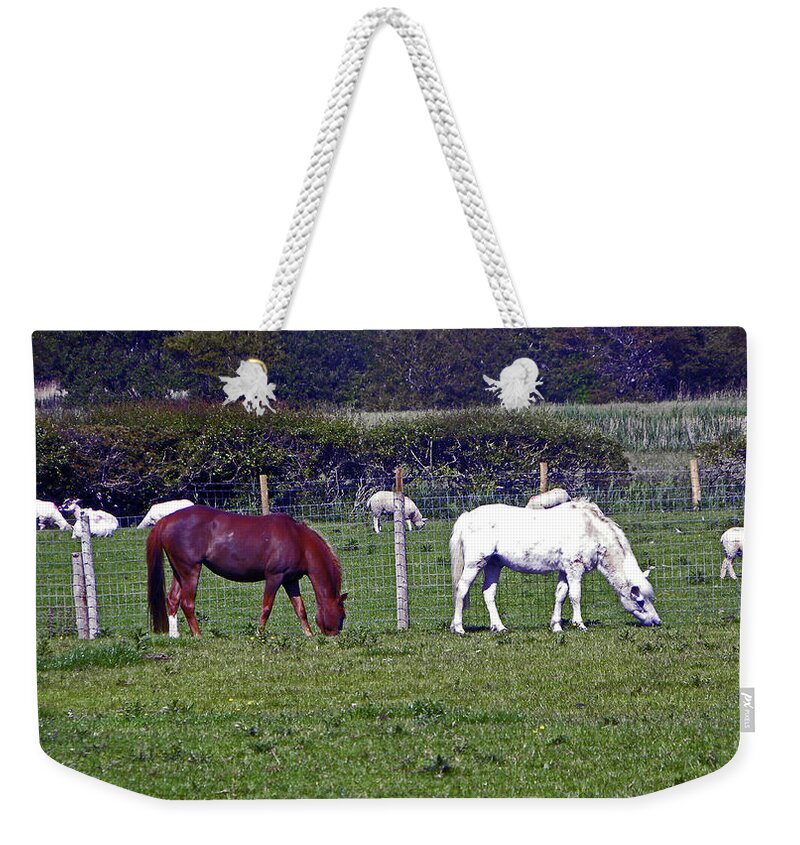 Morecambe. Morecambe Bay Weekender Tote Bag featuring the photograph 09/06/19 MORECAMBE. Hest Bank. Horses. by Lachlan Main