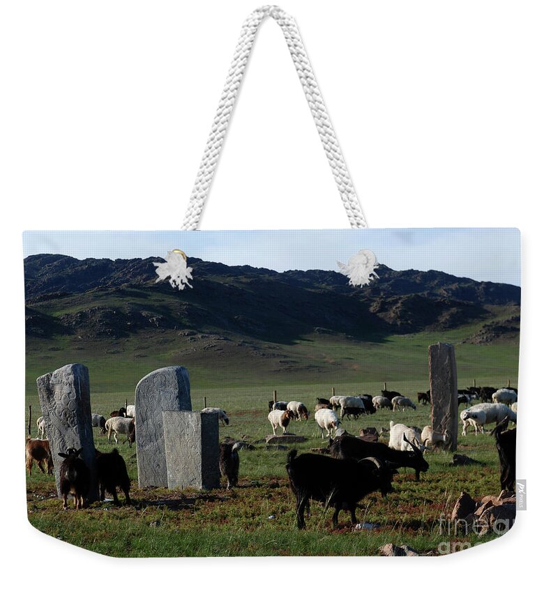 A Deer Statue Thousands Of Years Ago Weekender Tote Bag featuring the photograph A deer statue thousands of years ago #2 by Elbegzaya Lkhagvasuren