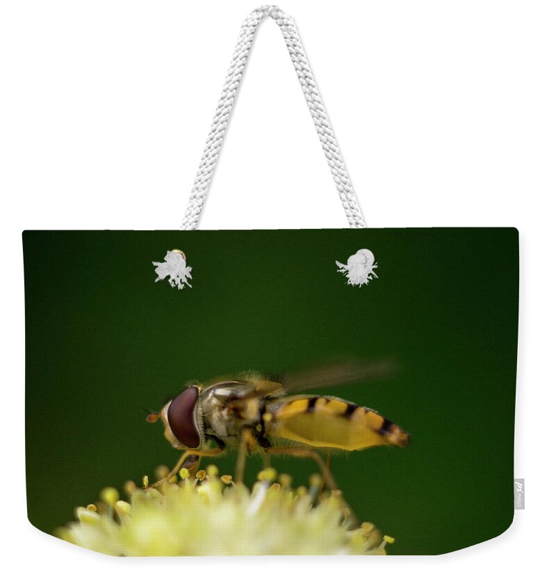 Nature Weekender Tote Bag featuring the photograph A hoverfly enjoying flower nectar #2 by Maria Dimitrova